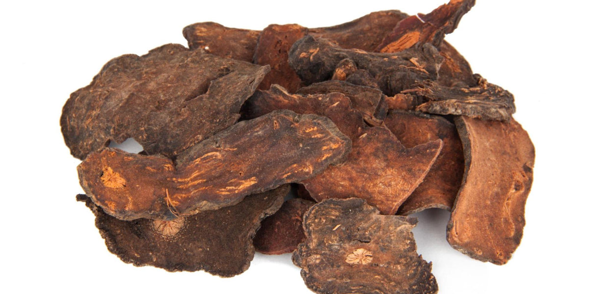 The Benefits of Fo-ti Root — Solstice Medicine